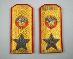 A pair of gold and red embroidered insignia

Description automatically generated