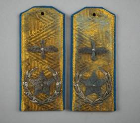 A pair of gold and blue insignia

Description automatically generated